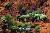 看到评论区这么刻薄我就放心了