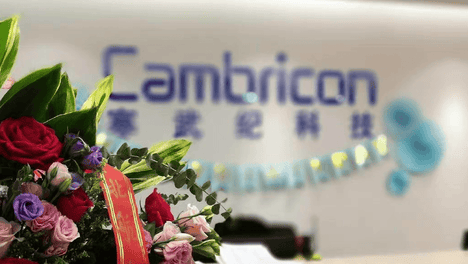 疯产姐妹近30日掉粉超19万