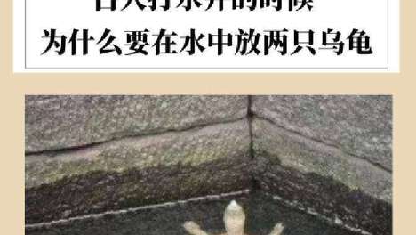 打完井扔两只乌龟，不为迷信只为保命！古代村民的饮水安全防护体系揭秘