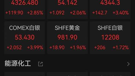 美国女孩喂流浪犬被40只狗围咬致死