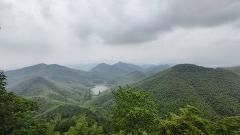 莫干山把“风景”变“钱景”丨感知幸福中国浙江行