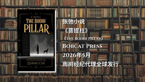 一个北京病人如何漫游仙境？张弛小说《菩提柱》横扫英文世界