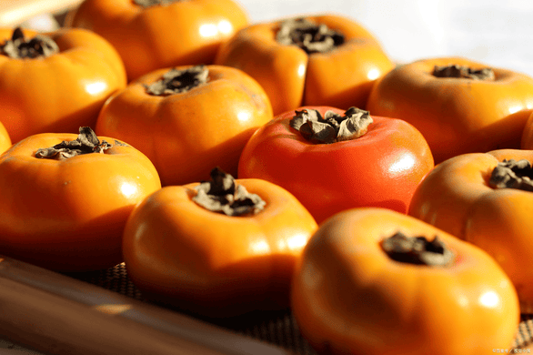 44b600feeef3408aa0f297412e202490