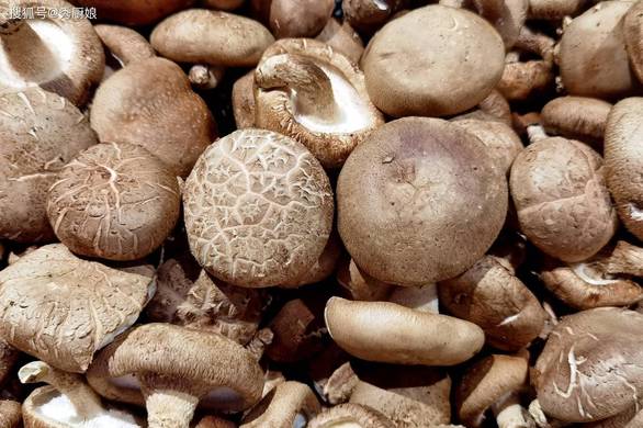 森碟下巴后缩改善明显