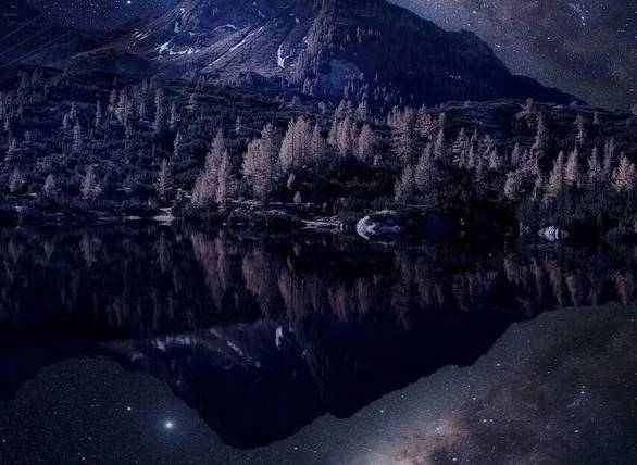 疯狂动物城2预告