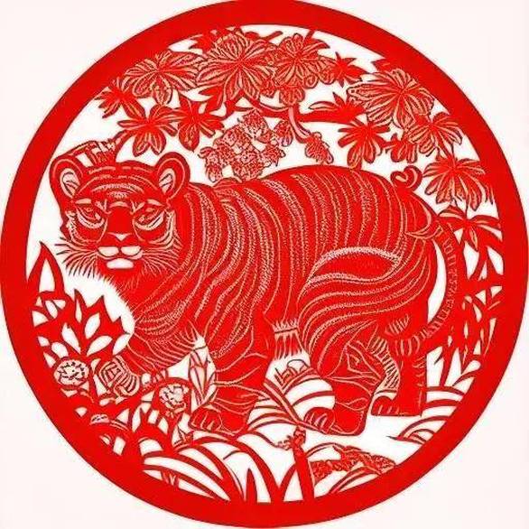 伊朗导弹齐射画面