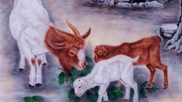 心地善良，不遇小人，今年夏天事业发展一帆风顺不缺钱的生肖