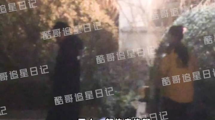 胡夏和金晨牵手遛狗,你羡慕吗?