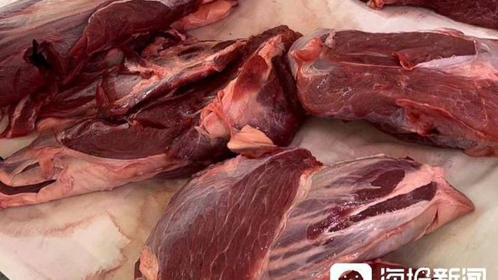 牛肉价格每斤降10元左右,下半年会止跌回升吗?