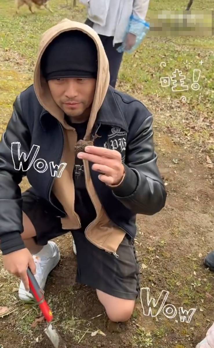 周杰伦昆凌带娃户外挖黑松露 温馨治愈趣味满满