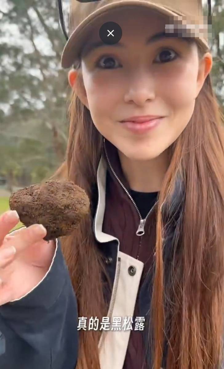 周杰伦昆凌带娃户外挖黑松露 温馨治愈趣味满满