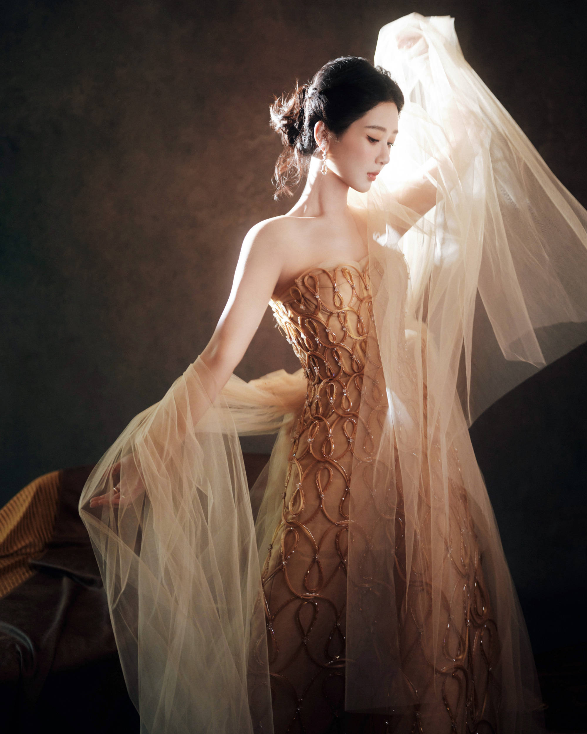 杨紫穿闪钻礼裙光彩照人 盘发造型优雅温婉气质佳