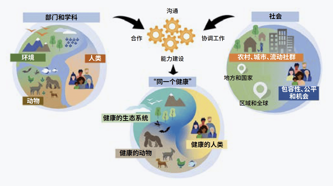 半月谈网 🌸2024一肖一码100精准大全🌸|新泰市谷里镇初级中学举办健康素养宣传活动  第2张