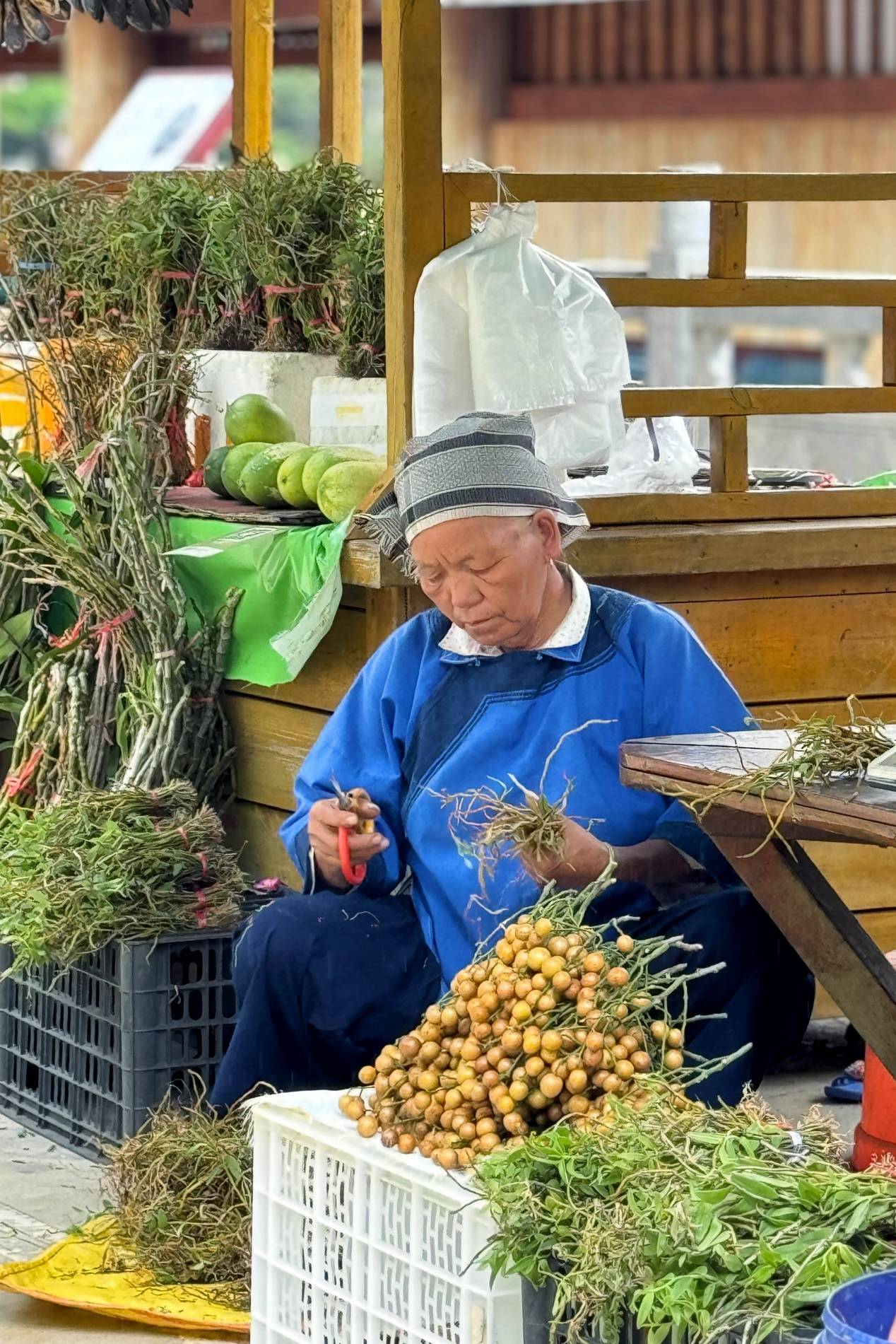 🌸中工网 【管家婆一肖-一码-一中一特】_济南槐荫：今年以来启动城市更新项目13个，总投资约176亿元