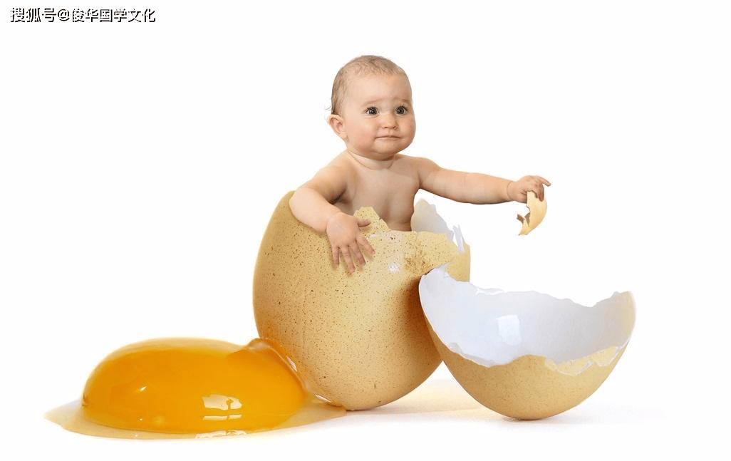 子鼠、丑牛子女缘分
