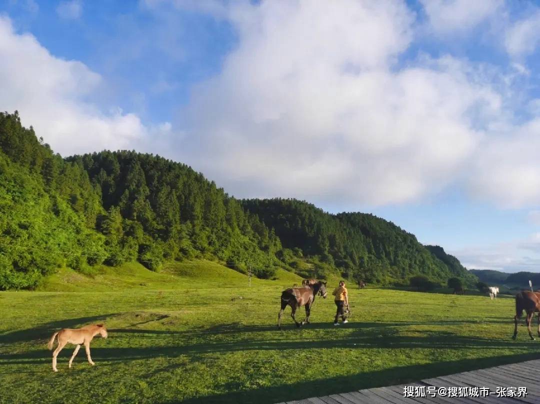 到美嘉体育下载重庆旅行攻略最佳旅游路线超详细攻略不迷路(图1)