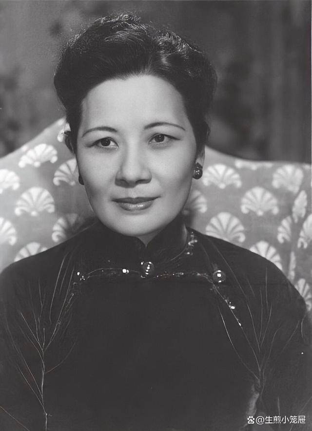 宋星空体育下载美龄拿着买1000架飞机的票子却买回了30架飞机蒋的反应是？(图6)