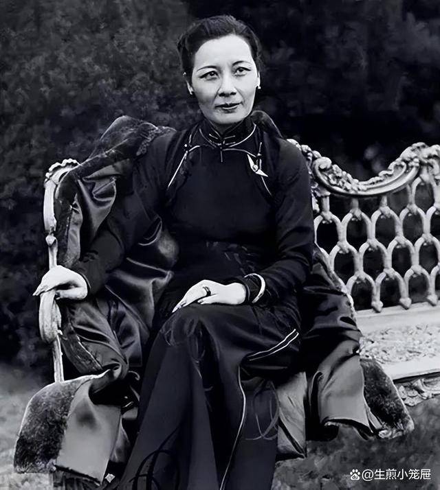 宋星空体育下载美龄拿着买1000架飞机的票子却买回了30架飞机蒋的反应是？(图7)