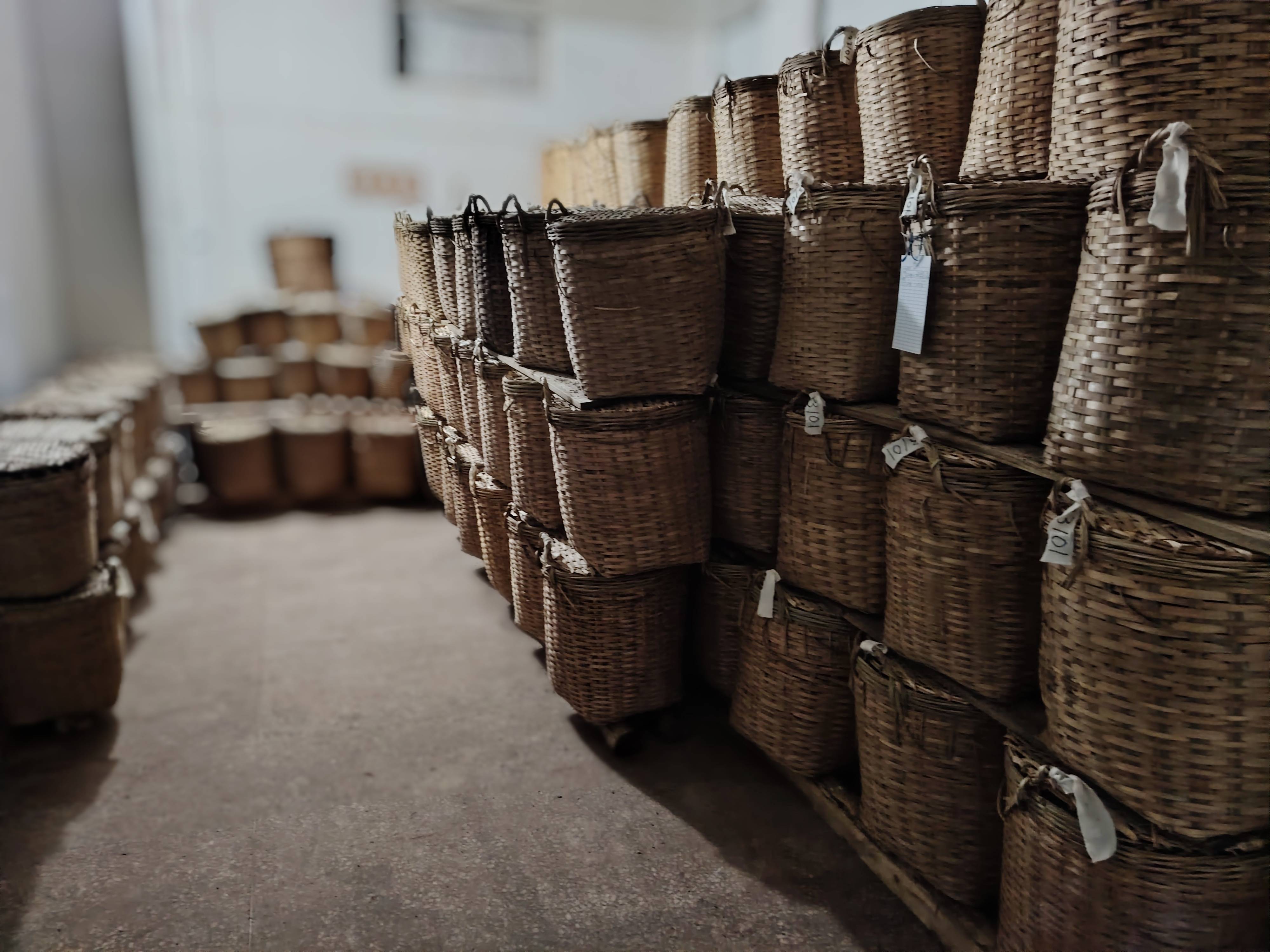 OB电竞入口广西芊河茶业：感受茶叶背后的温暖与力量(图2)