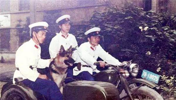必赢为何故宫下午5点就关门？因为1959年的教训让人不敢忘记(图7)