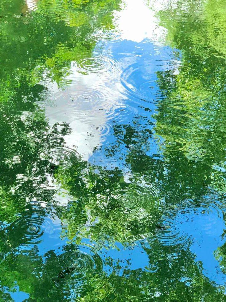 原创             【月运】柒爸2025年6月巨蟹/狮子/处女星座运