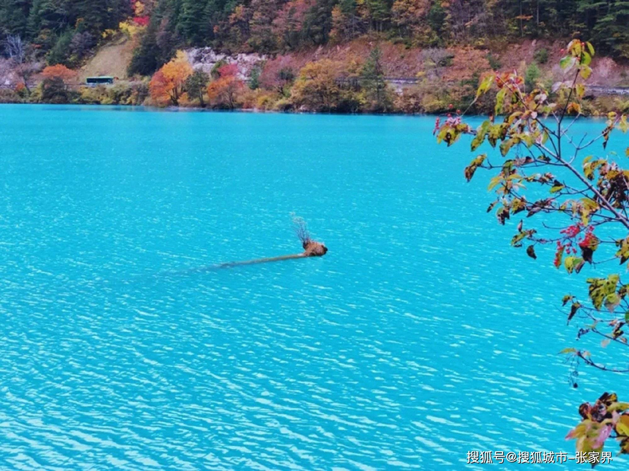 【OKX 哈希游戏】区块链加密游戏玩法教程，新手必看！去四川旅游攻略当地团五天四晚景点行程规划实用攻略！