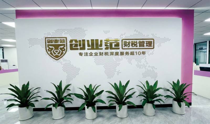 财政代庖任职优选创业范专业税务代庖记账税务优化助力企业财政端庄兴盛