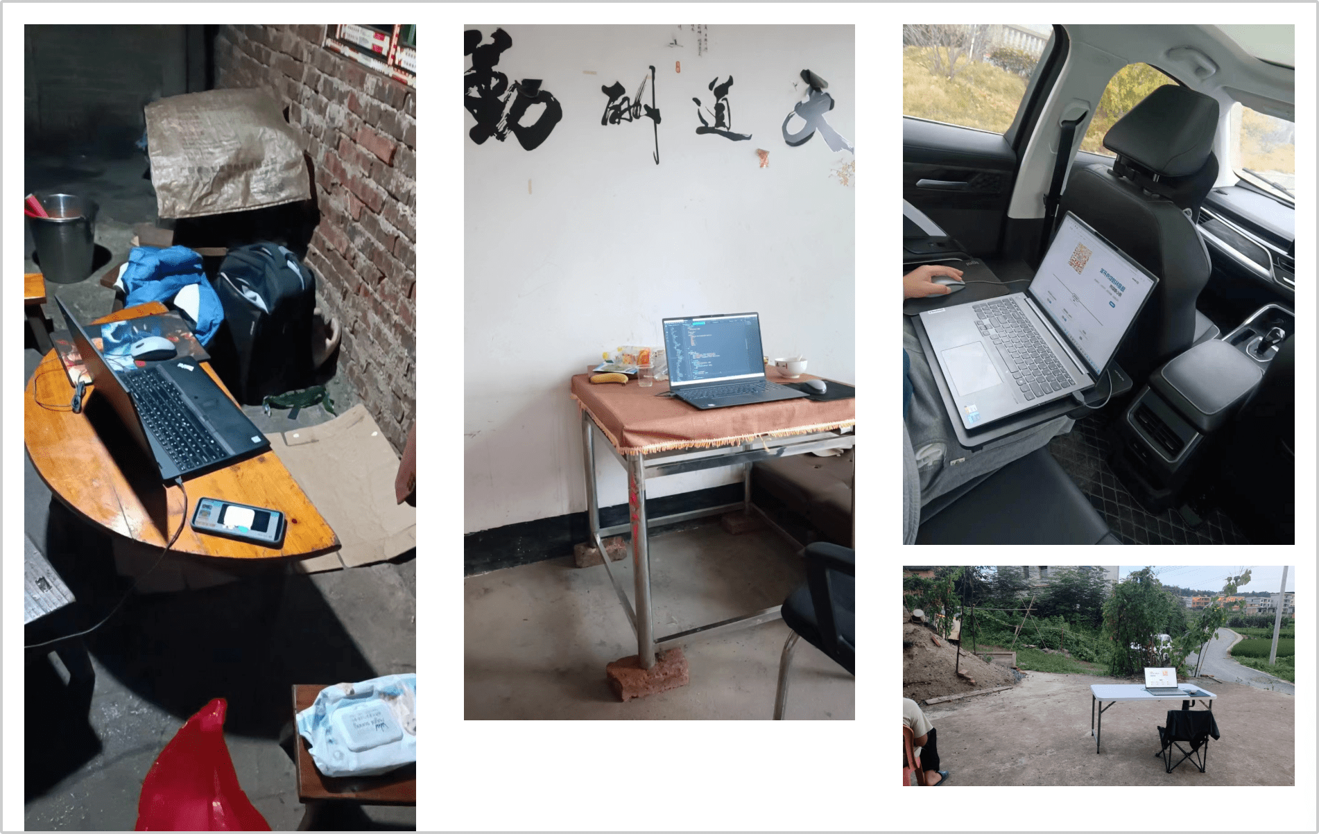 返乡十年,他们拼得如何? 返乡十年,他们拼得如何?