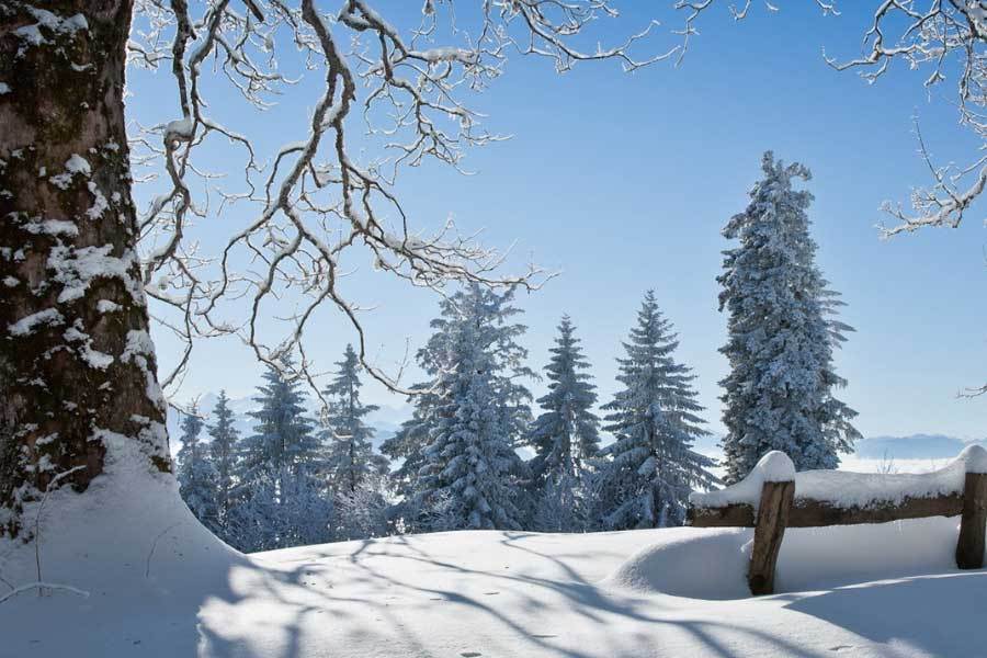 全运会自行车赛将历史首次穿越港澳实现无感