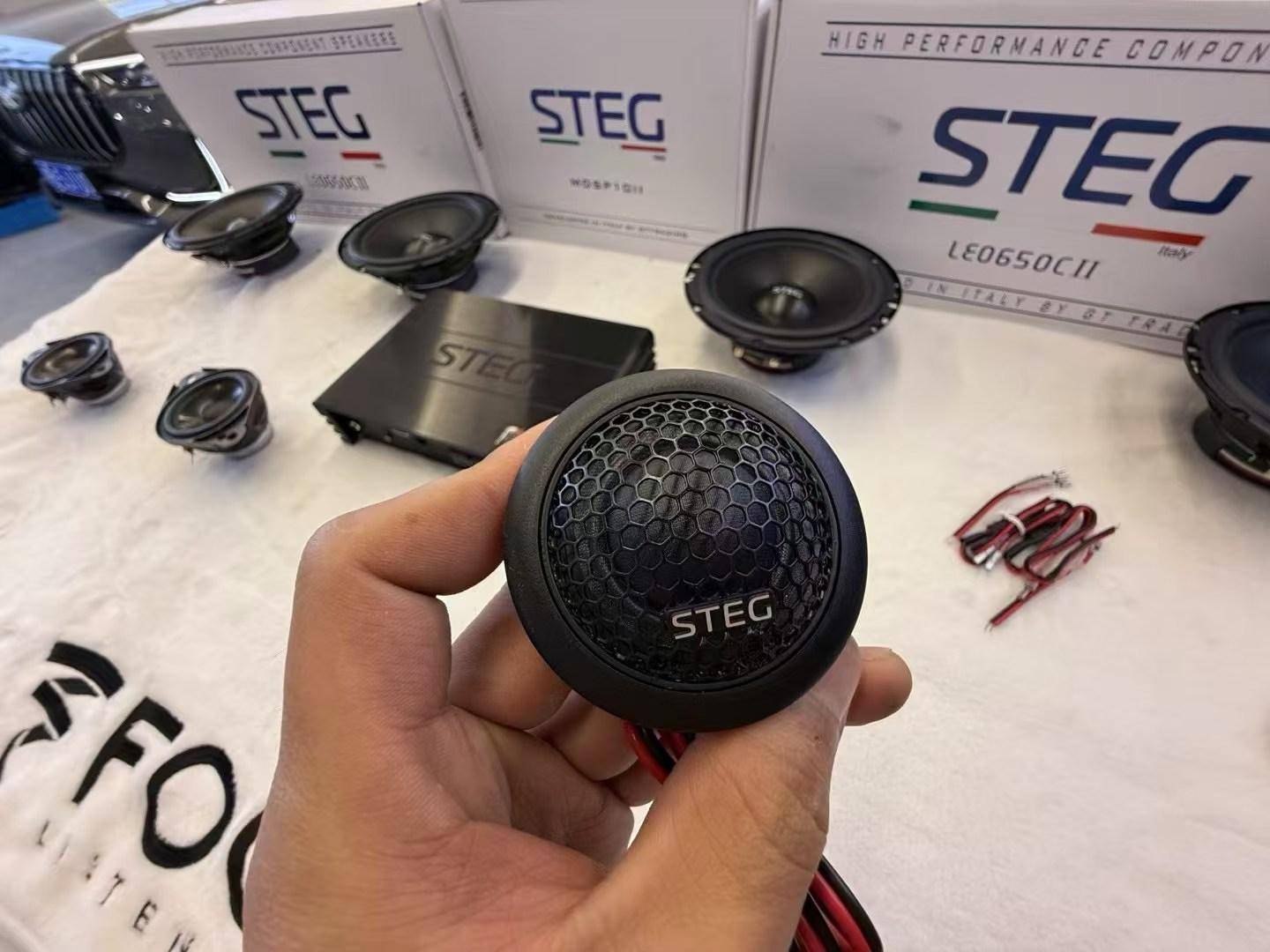 产品适配主流车型专业调音技术打造沉浸式体验新能源汽车音响升级优选史泰格STEG多款(图1)