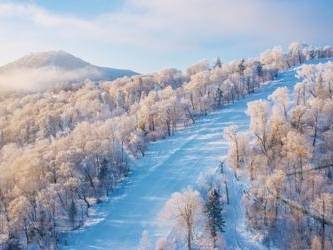 【OKX 哈希游戏】区块链加密游戏玩法教程，新手必看！情侣东北旅游浪漫之选：正规旅行社的漠河追光线邂逅极光与星光