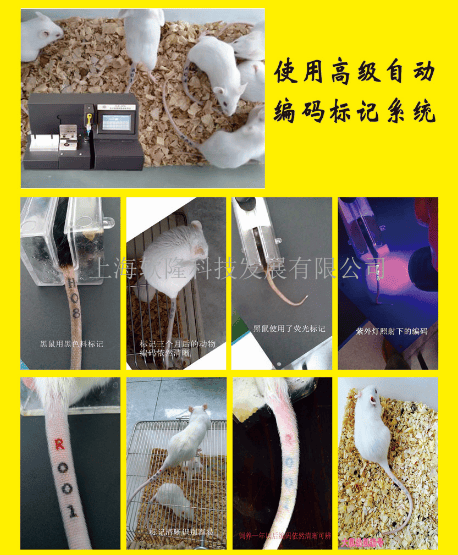 M 大小鼠尾部自动标号仪 仪器资料。