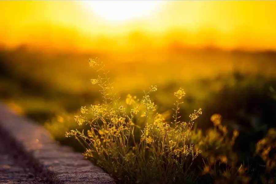 竟博电竞下载智能电暖器带守时效用利用更便捷