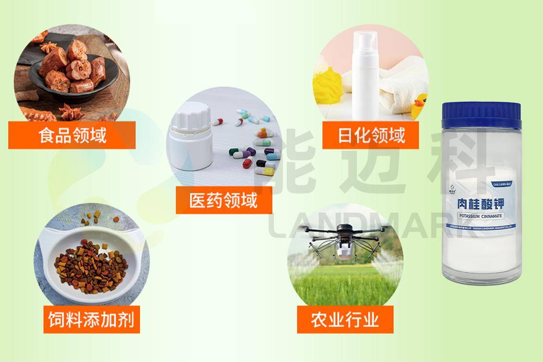 食品防腐领域优选武汉能迈科香料食品保鲜剂及肉桂酸钾防腐剂专业