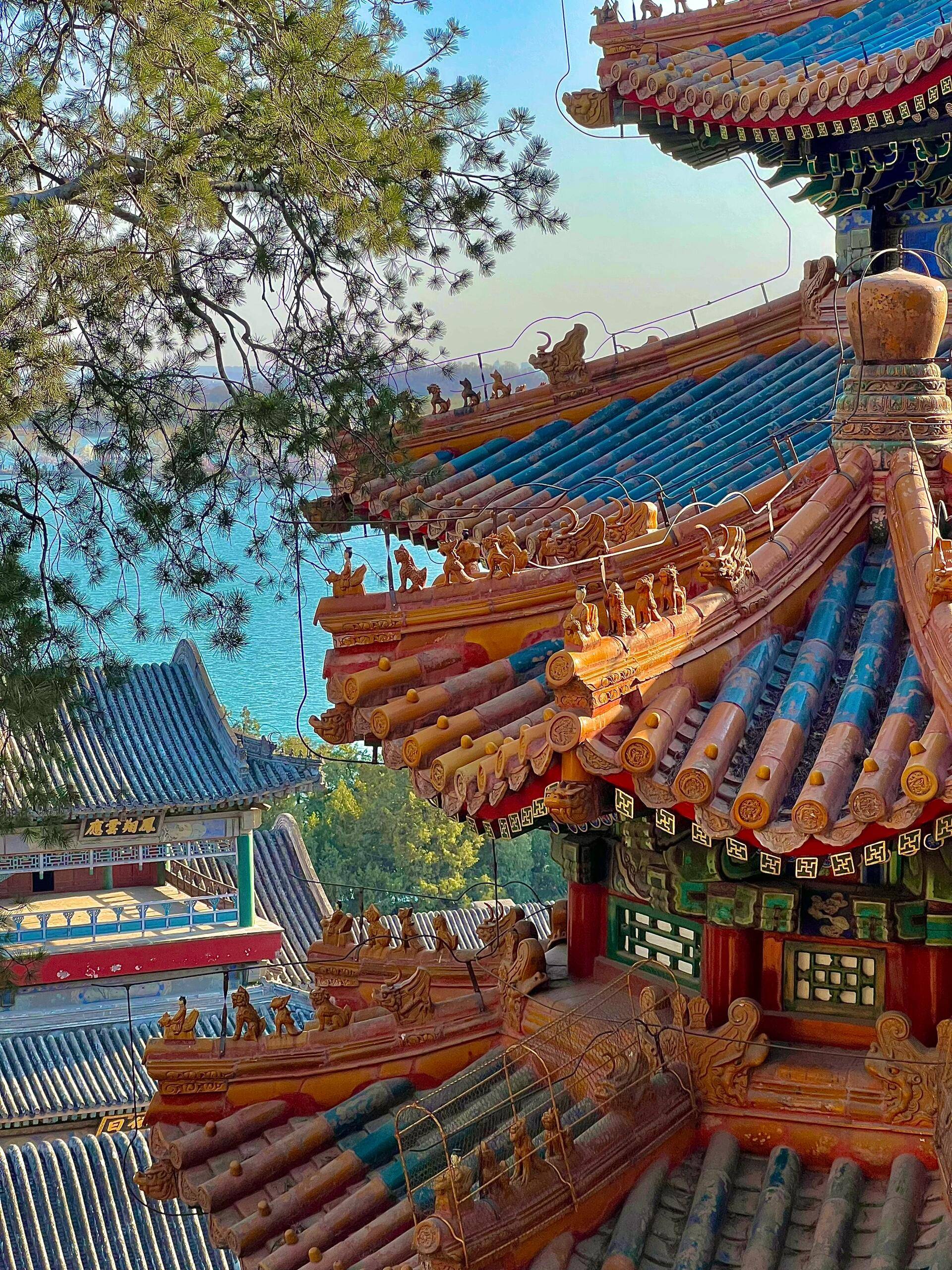 晚行程北京口碑最好的私人导游看完就懂开元棋牌app北京旅游跟团旅游五天四(图2) 晚行程北京口碑最好的私人导游看完就懂开元棋牌app北京旅游跟团旅游五天四(图2)