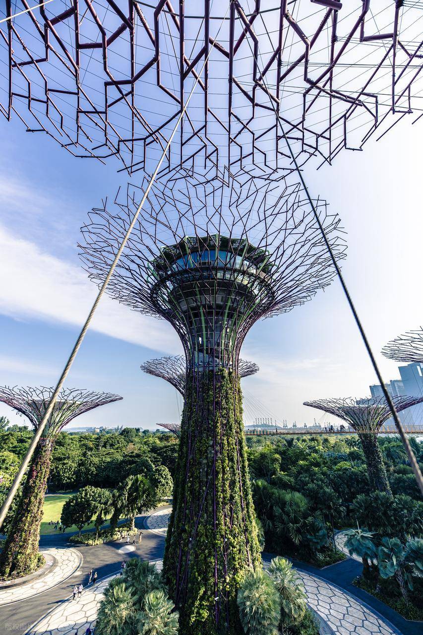 Binance Casino - 领先的