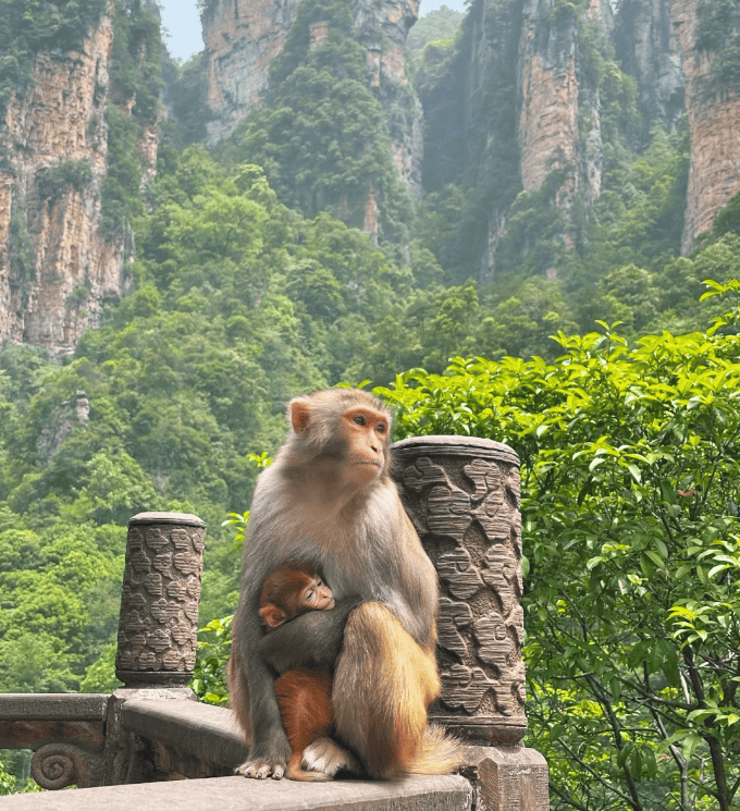 Binance Casino - 领先的数字货币娱乐场，安全稳定，极速存取带孩子去张家界五天四晚自由行攻略张家界旅游详细行程、防坑指南及省钱秘诀真实游玩记录！本人真实游记分享！