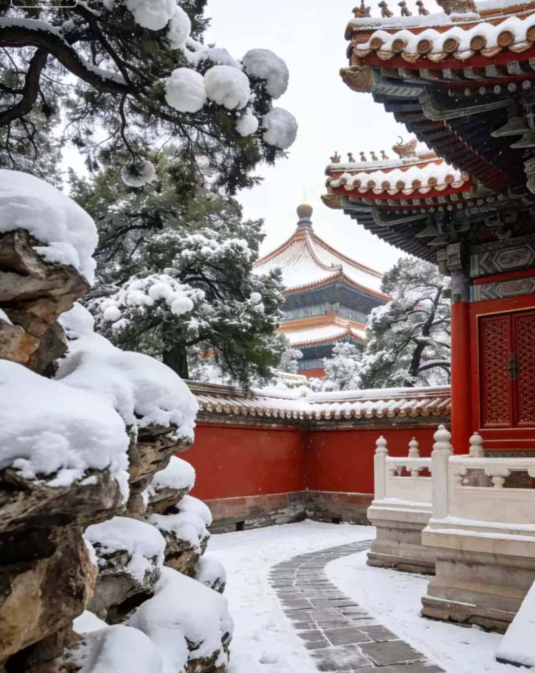 北京途开心小包团体验归来 银发族游北京开云体育- 开云体育官