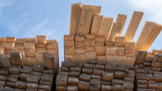 gogo体育【关注】2023年北美木材市场分析及对我国木材出口情况(图1)