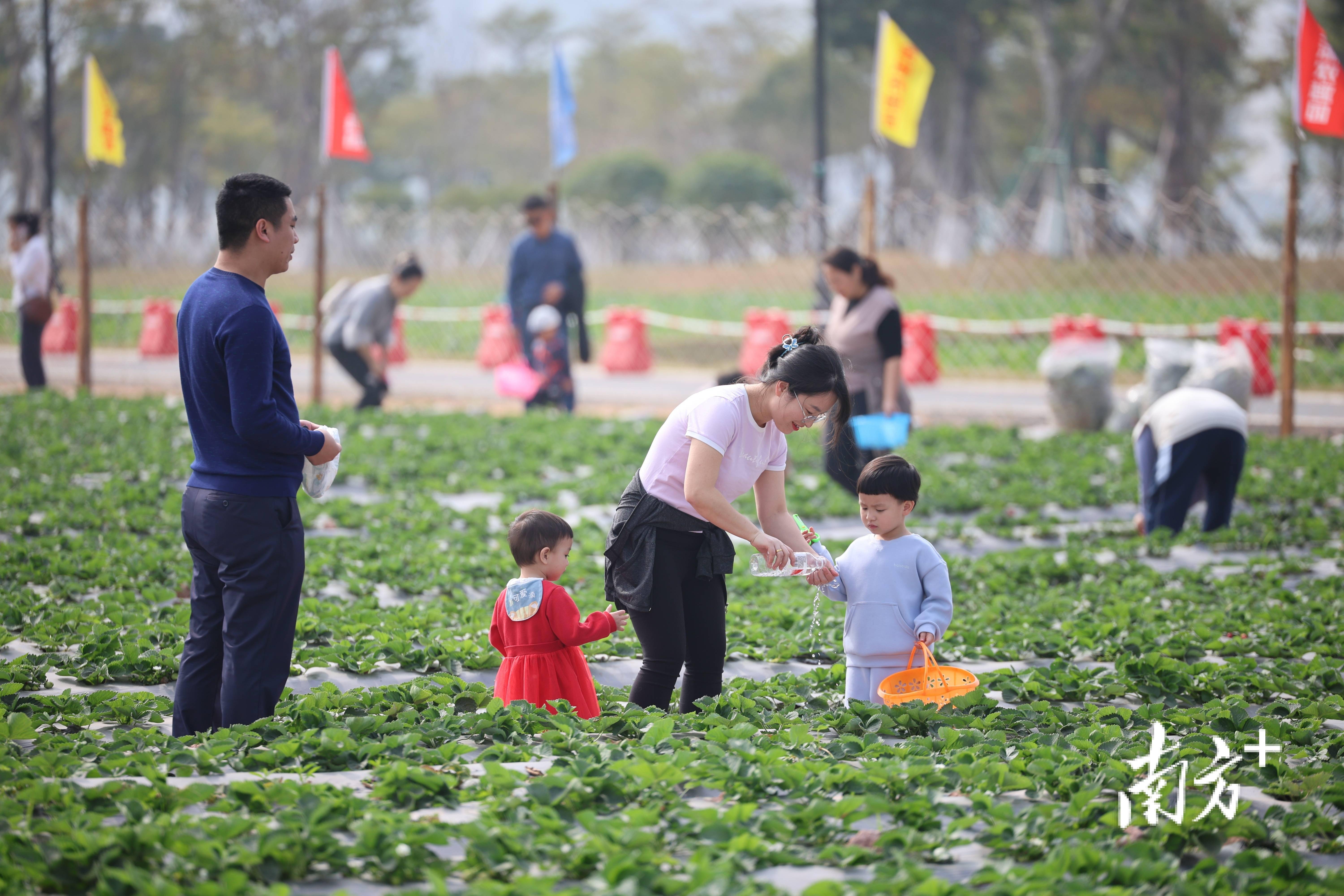 太适合周末溜娃了这里的水果好吃得停多米体育不下来｜多图(图1)