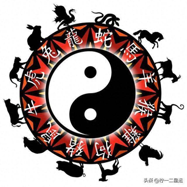 昏天黑地打一生肖，最新全面解释