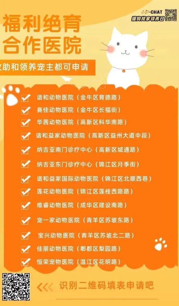 2024年7月12日（成都、新津、都江堰，十一只可爱猫咪找新家）