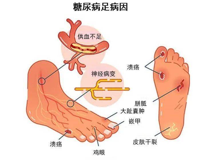 🌸南国今报【管家婆一肖-一码-一中一特】|合肥市庐阳区总工会：“瑜”悦身心 “伽”倍健康