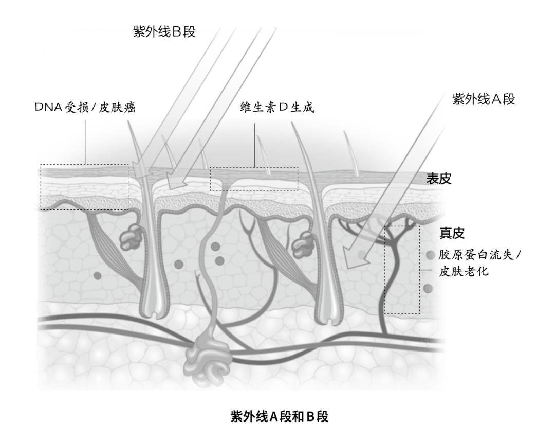 南海网🌸澳门一肖一码一必中一肖精华区🌸|中新健康｜助力科研成果转化 多机构设生物医药产业基金  第4张