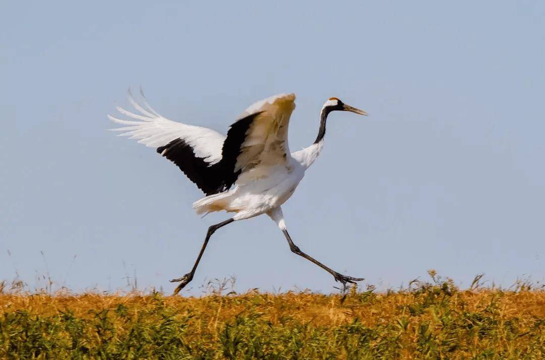 河南一座“奇特”的城市,名字用“动物”命名,GDP却排名倒数 河南一座“奇特”的城市,名字用“动物”命名,GDP却排名倒数