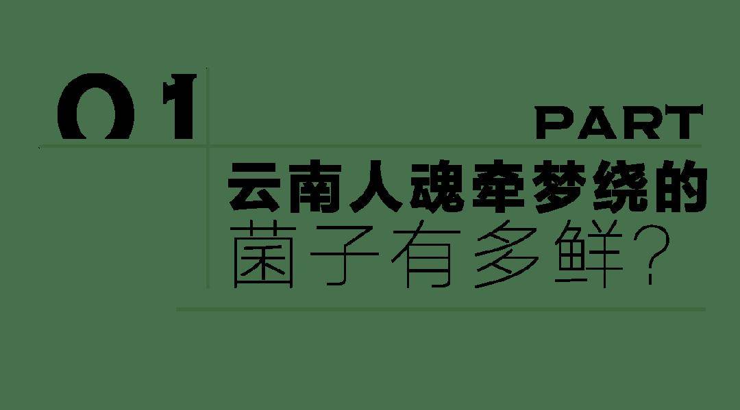 🌸渭南日报【新澳门内部资料精准大全】_四维图新：打造智能网联汽车“车路云一体化”解决方案，助力试点城市规模化建设