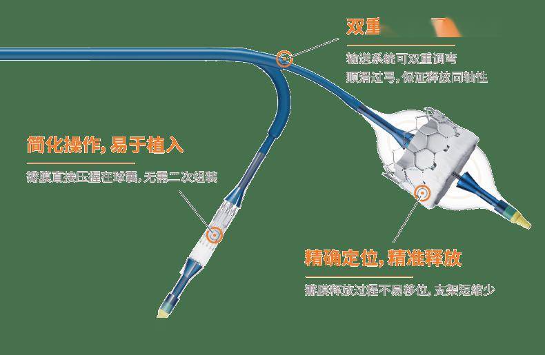 精易球全，再扩心生——佰仁医疗Renatus经导管主动脉瓣系统获批上市(图3)