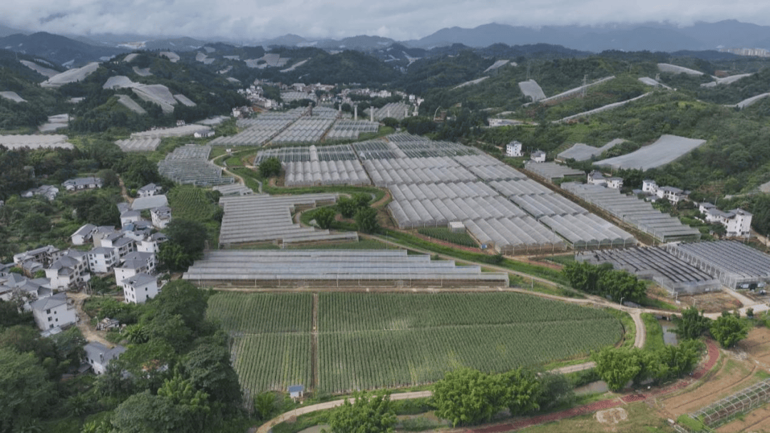 八戒体育网址【赣州三农】寻乌县探索推进深寻支援合作激活发展新动能(图1)