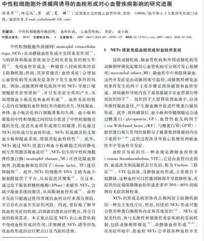 医生多次强调:气温下降,老年人晨练时一定留心,这 3 件事要警惕 医生多次强调:气温下降,老年人晨练时一定留心,这 3 件事要警惕