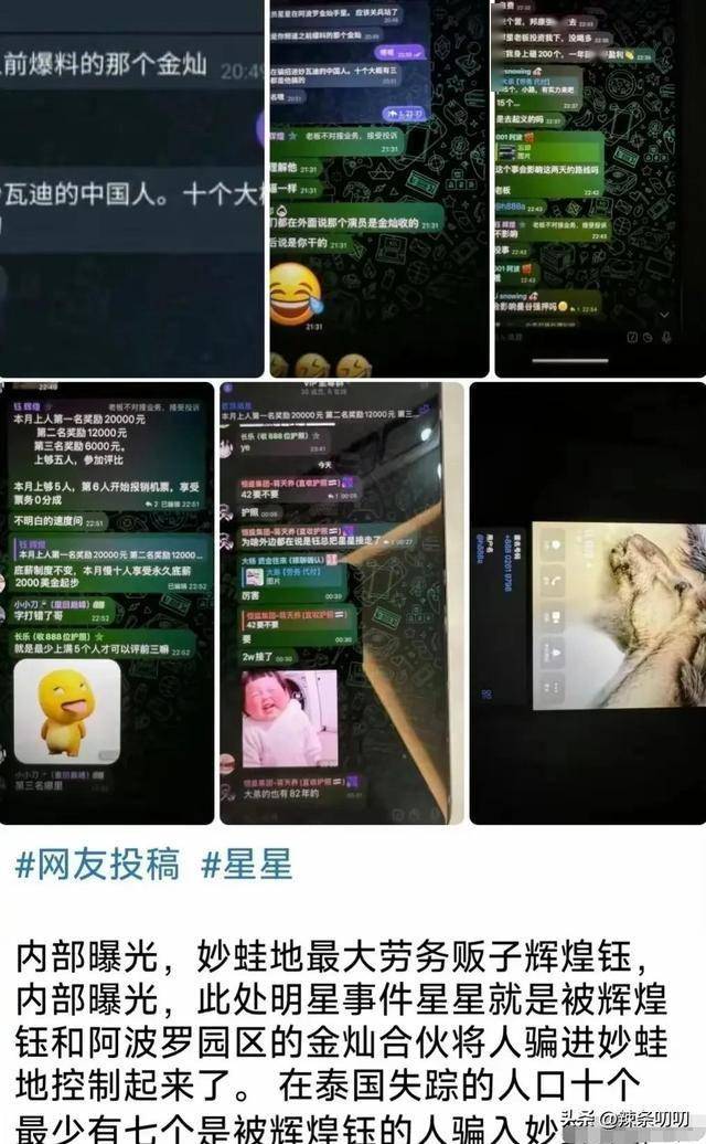 绑架王星的公司找到了，嫌疑人已被抓，是同胞外号金老虎人称玉总